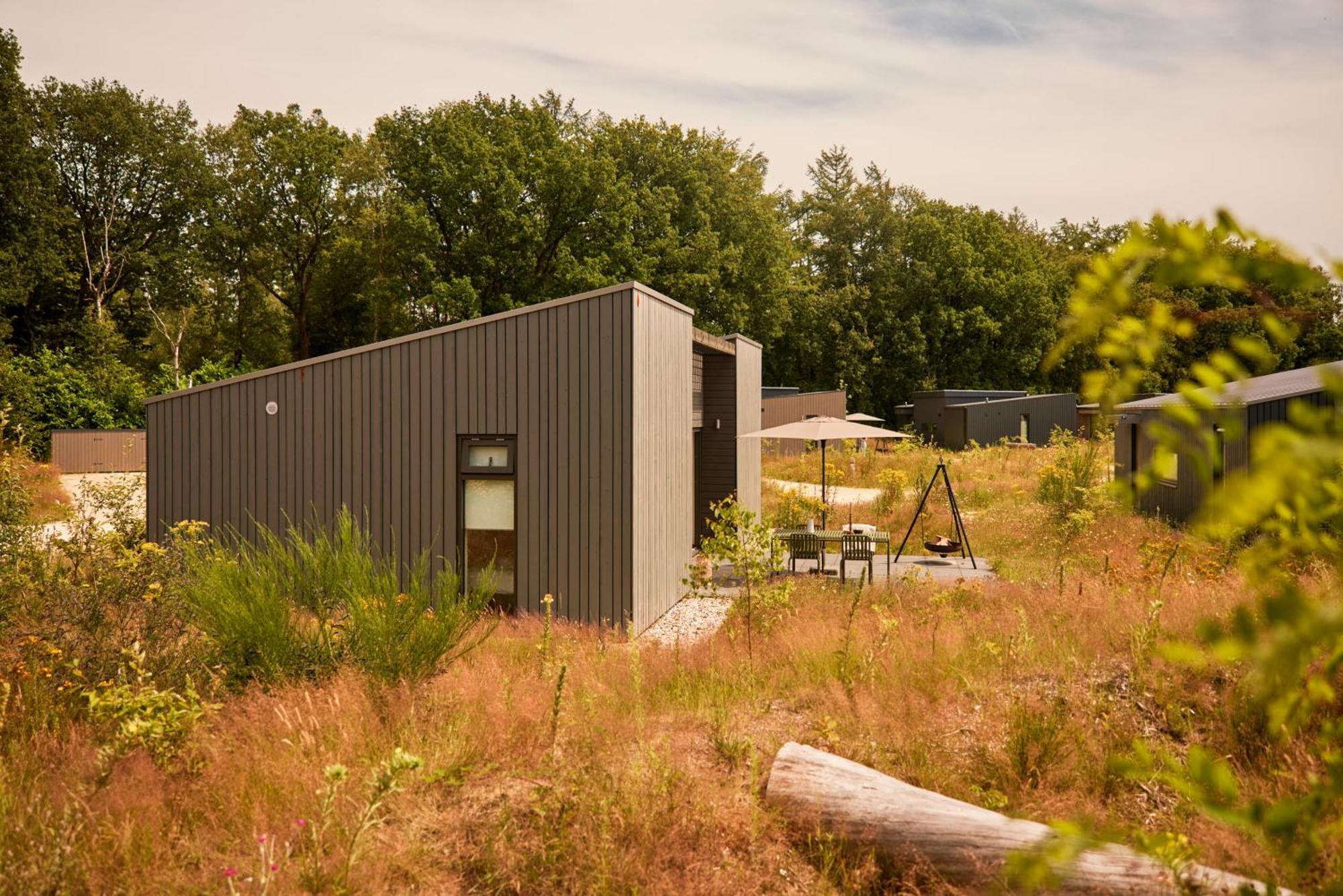 Dutchen Zeegser Duinen Suitelodges Экстерьер фото
